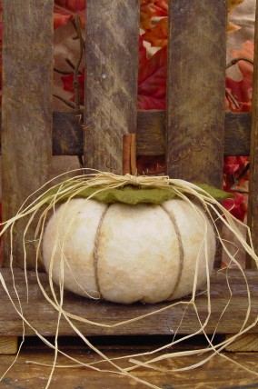 421 - White Pumpkin Paper Pattern